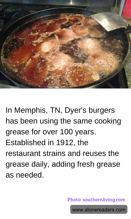 General Knowledge Learning Cards