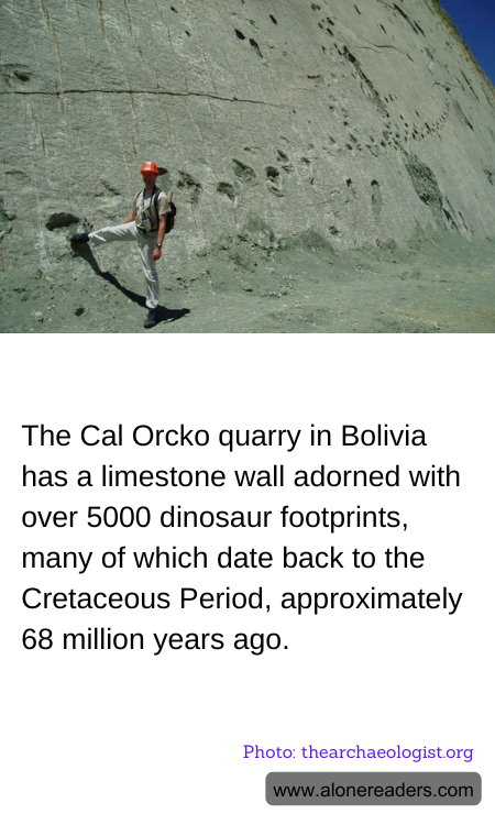 General Knowledge Learning Cards