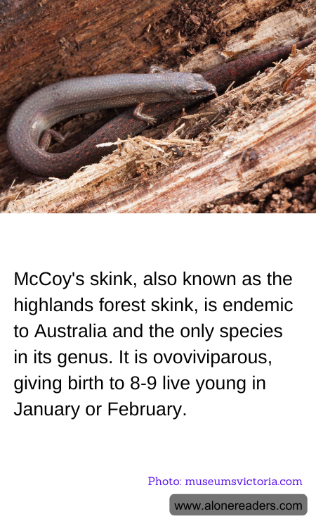 General Knowledge Learning Cards