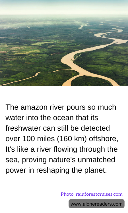 General Knowledge Learning Cards