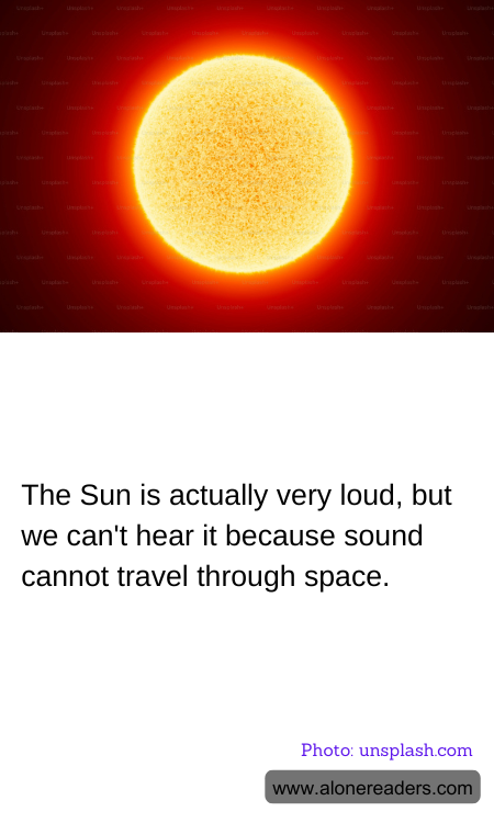 General Knowledge Learning Cards