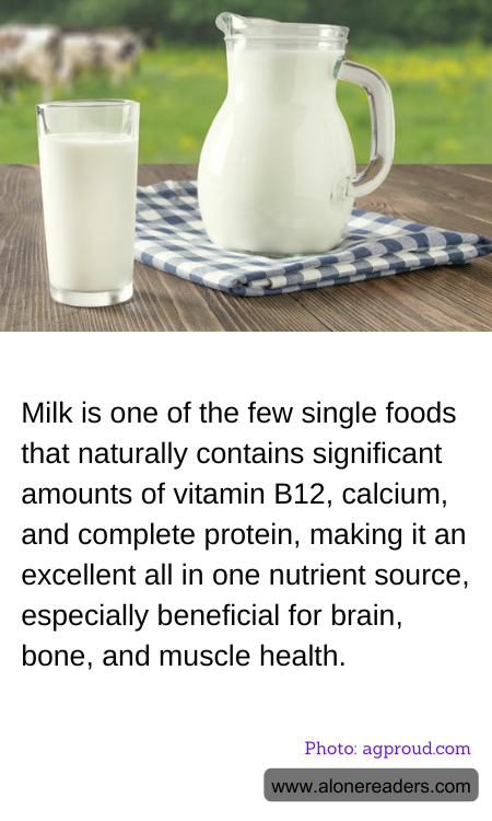 General Knowledge Learning Cards