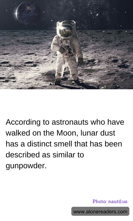 General Knowledge Learning Cards