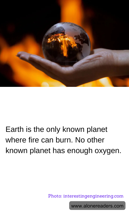 General Knowledge Learning Cards