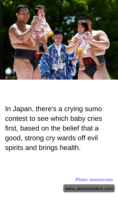 General Knowledge Learning Cards