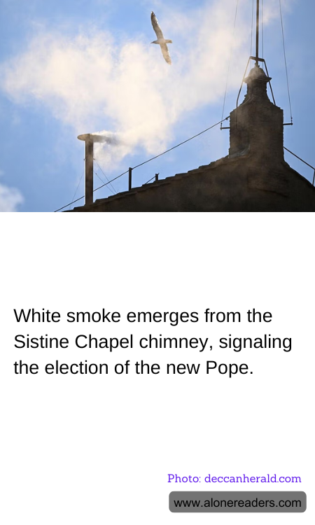 General Knowledge Learning Cards