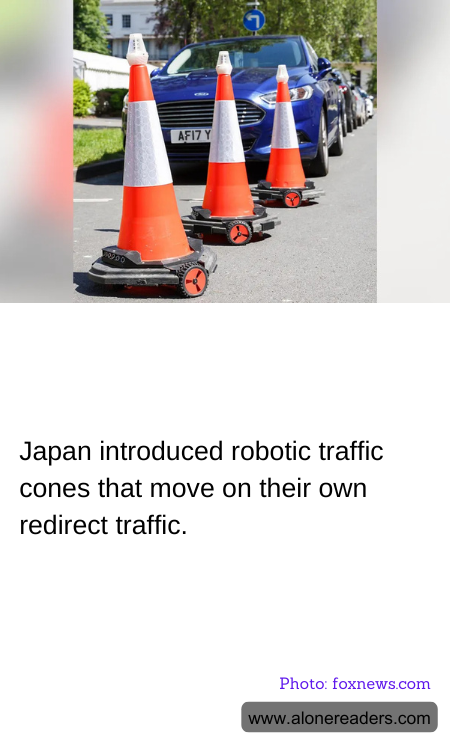 General Knowledge Learning Cards