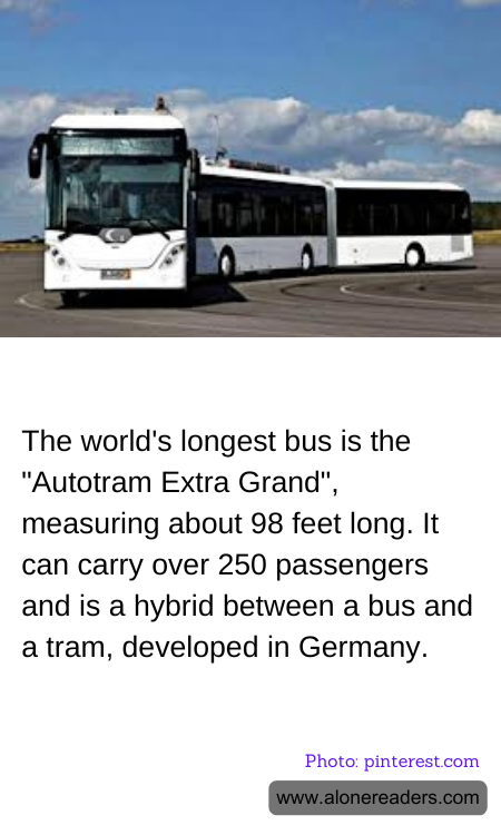 General Knowledge Learning Cards