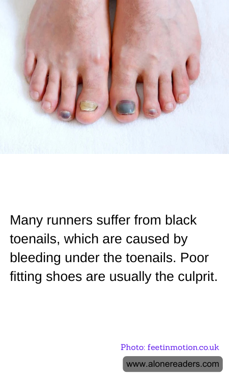 General Knowledge Learning Cards