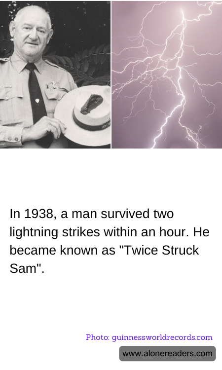 General Knowledge Learning Cards