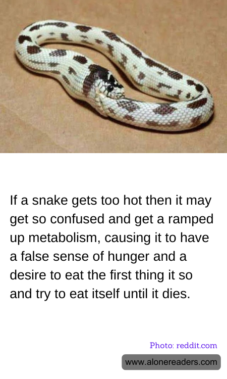 General Knowledge Learning Cards