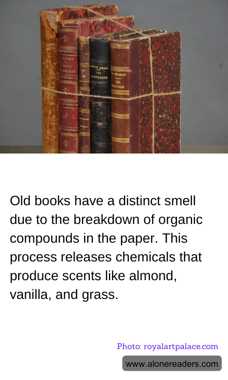 General Knowledge Learning Cards