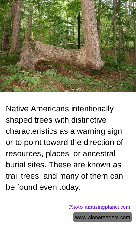 General Knowledge Learning Cards