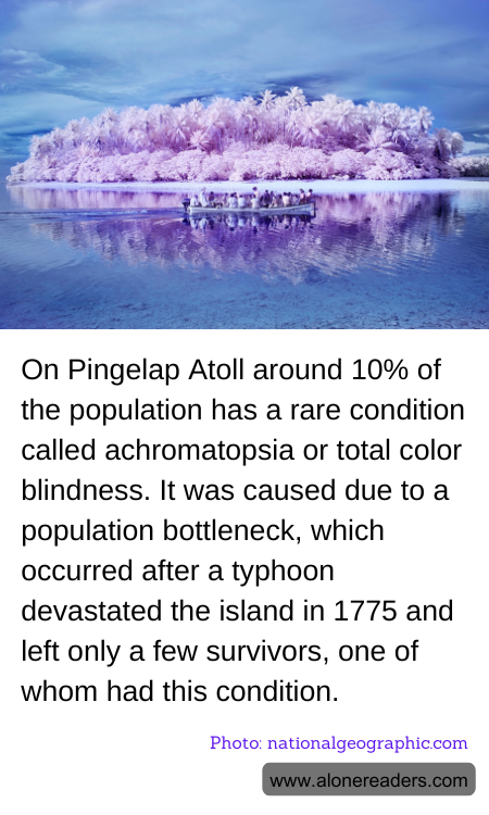 On Pingelap Atoll around 10% of the population has a rare condition called achromatopsia or total color blindness. It was caused due to a population bottleneck, which occurred after a typhoon devastated the island in 1775 and left only a few survivors, one of whom had this condition.