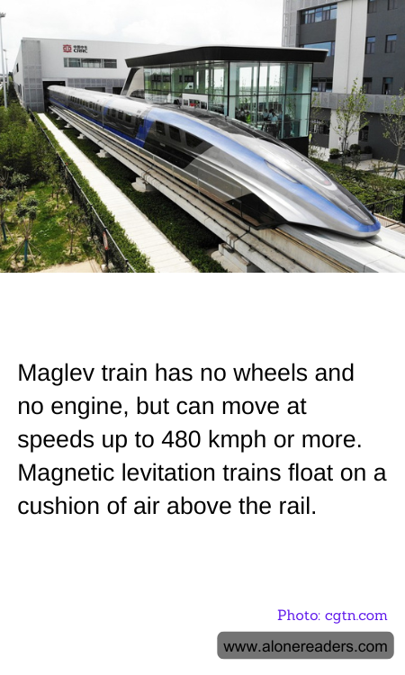 General Knowledge Learning Cards