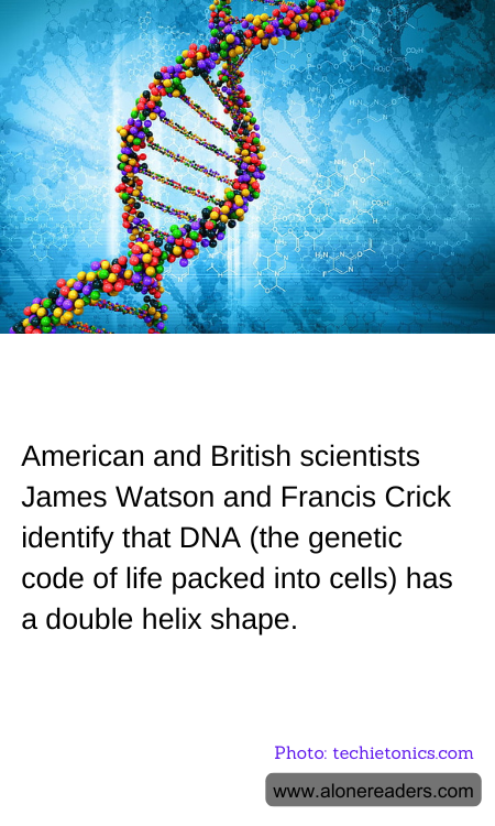 General Knowledge Learning Cards