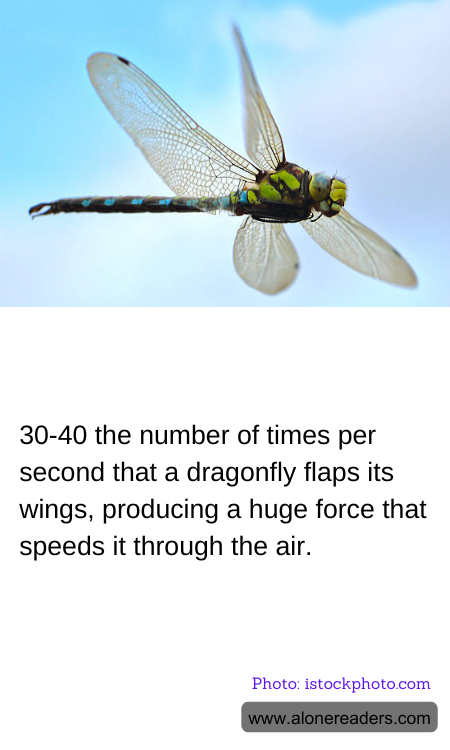 General Knowledge Learning Cards