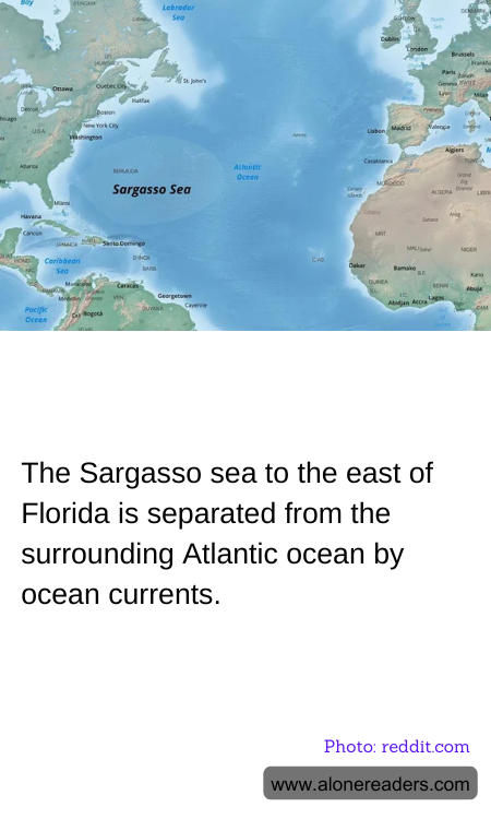 The Sargasso sea to the east of Florida is separated from the surrounding Atlantic ocean by ocean currents.