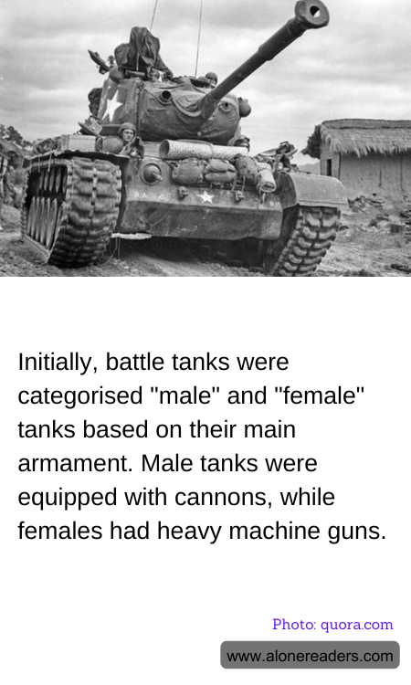 General Knowledge Learning Cards