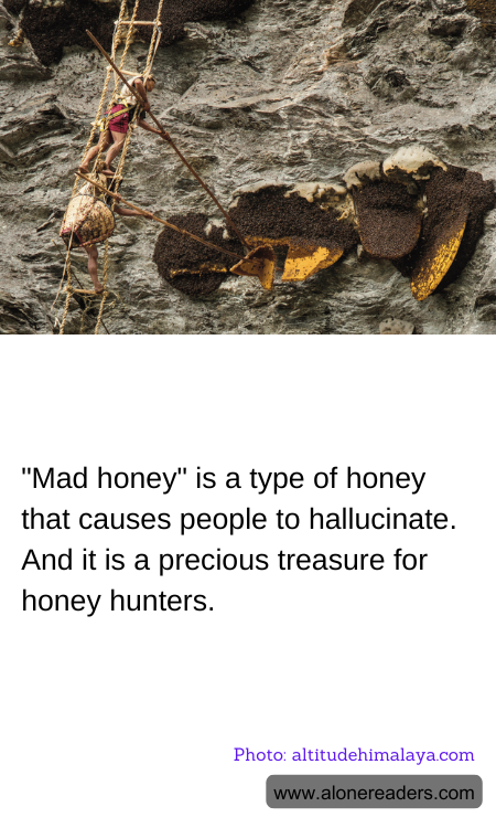 General Knowledge Learning Cards