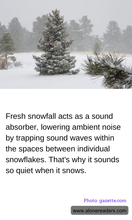 General Knowledge Learning Cards