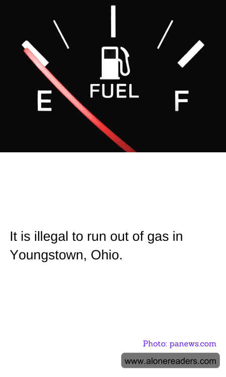 General Knowledge Learning Cards