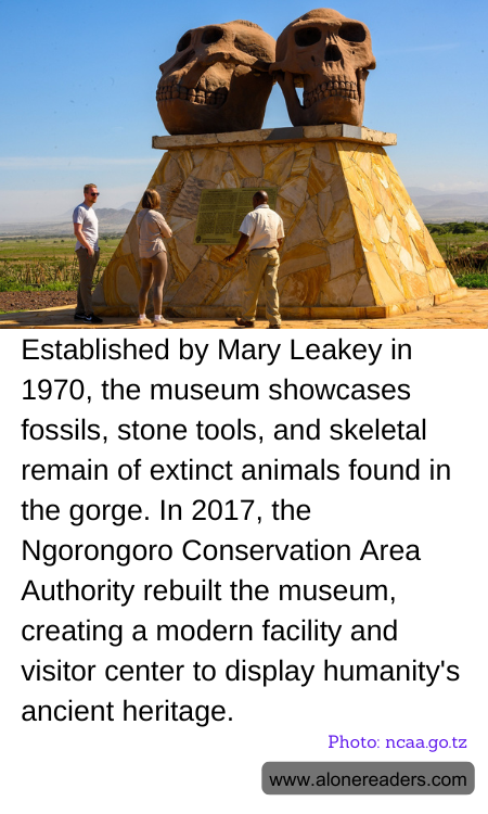 Established by Mary Leakey in 1970, the museum showcases fossils, stone tools, and skeletal remain of extinct animals found in the gorge. In 2017, the Ngorongoro Conservation Area Authority rebuilt the museum, creating a modern facility and visitor center to display humanity's ancient heritage.