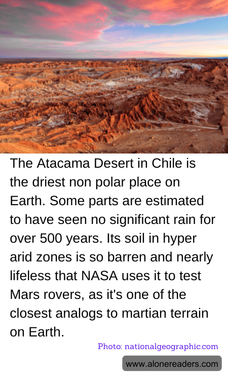 General Knowledge Learning Cards