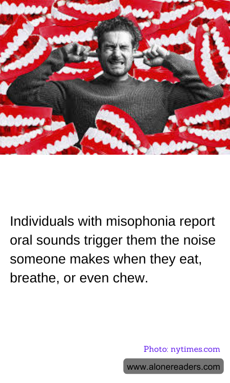 General Knowledge Learning Cards