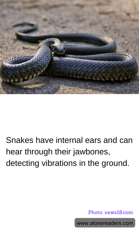 General Knowledge Learning Cards