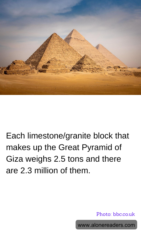 General Knowledge Learning Cards