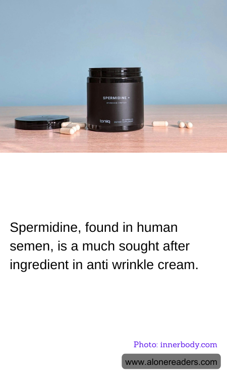 General Knowledge Learning Cards