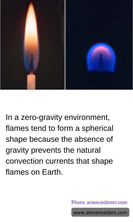 General Knowledge Learning Cards