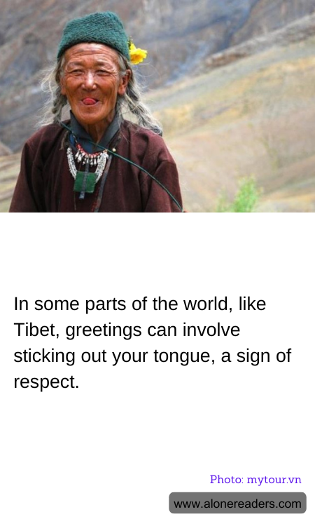 General Knowledge Learning Cards