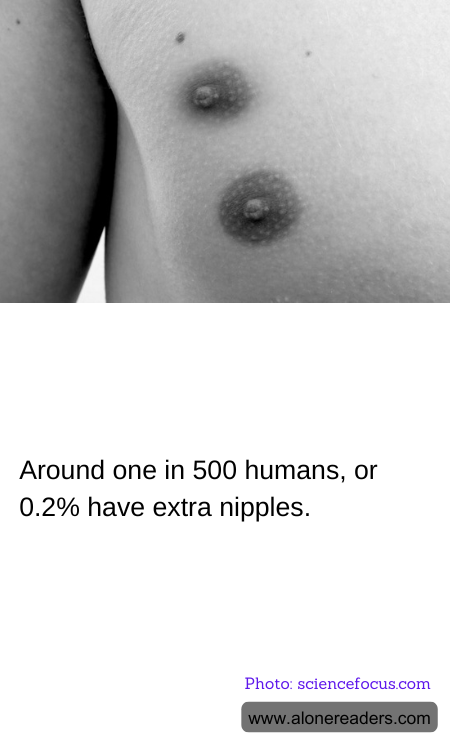 General Knowledge Learning Cards