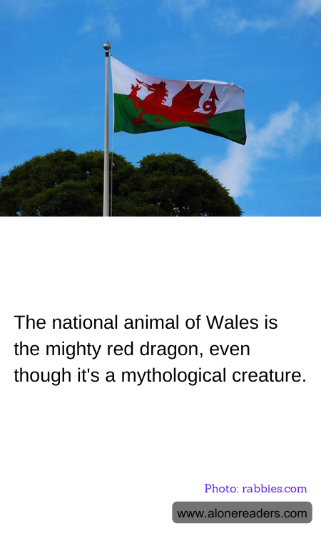 General Knowledge Learning Cards