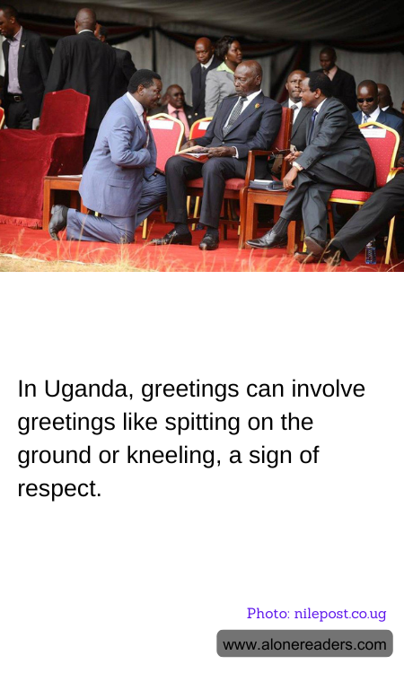 General Knowledge Learning Cards