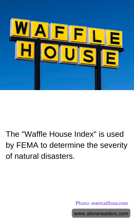 General Knowledge Learning Cards