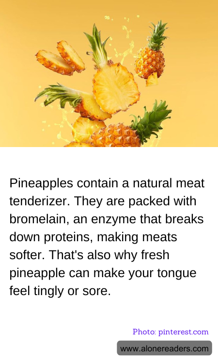 General Knowledge Learning Cards