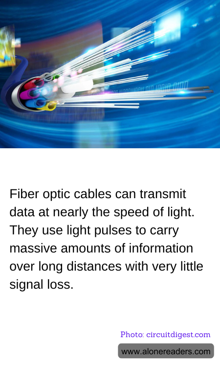 General Knowledge Learning Cards