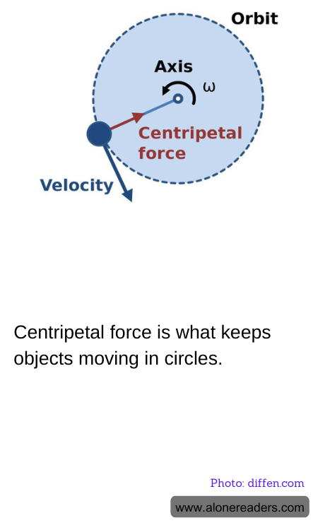 General Knowledge Learning Cards