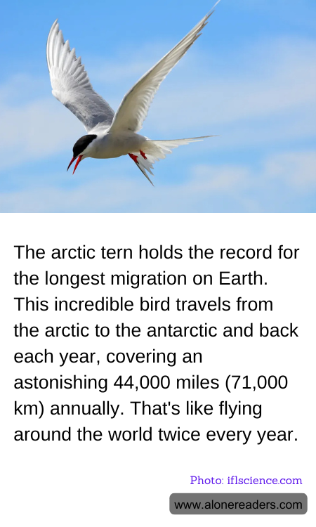 General Knowledge Learning Cards