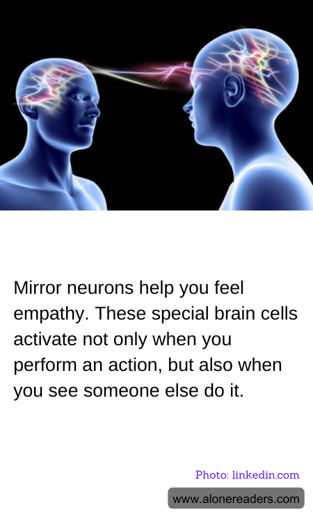 General Knowledge Learning Cards