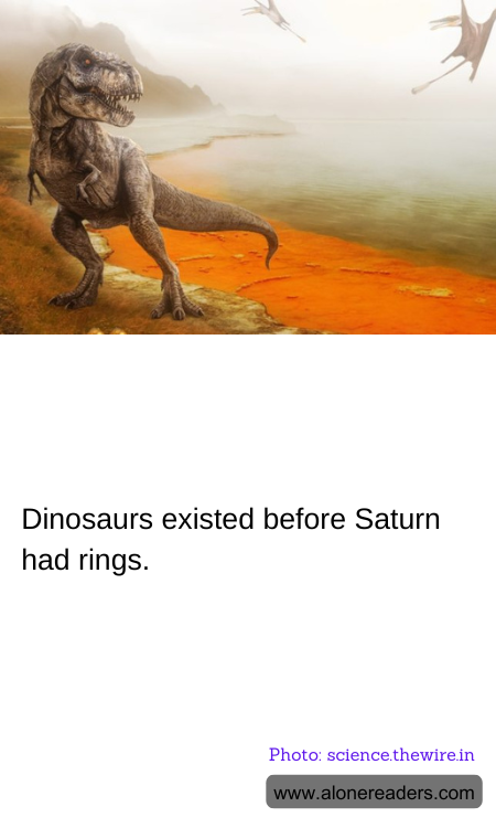 General Knowledge Learning Cards