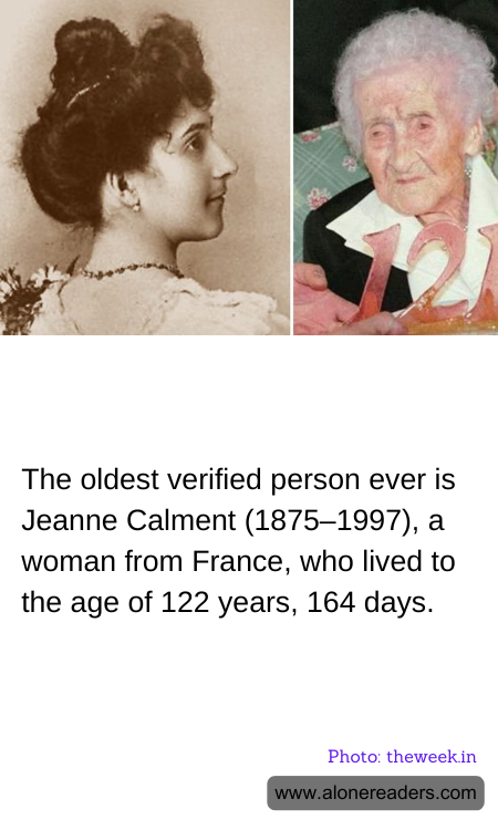 General Knowledge Learning Cards