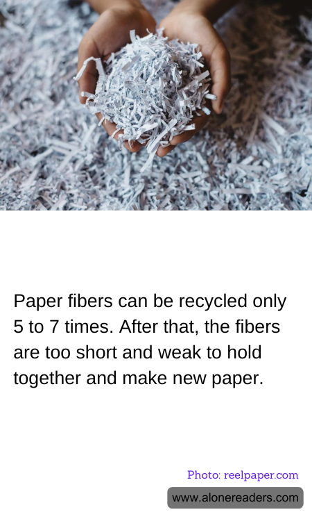 Paper fibers can be recycled only 5 to 7 times. After that, the fibers are too short and weak to hold together and make new paper.