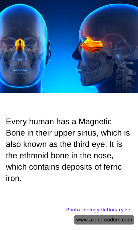 General Knowledge Learning Cards