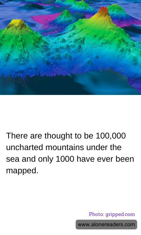 General Knowledge Learning Cards