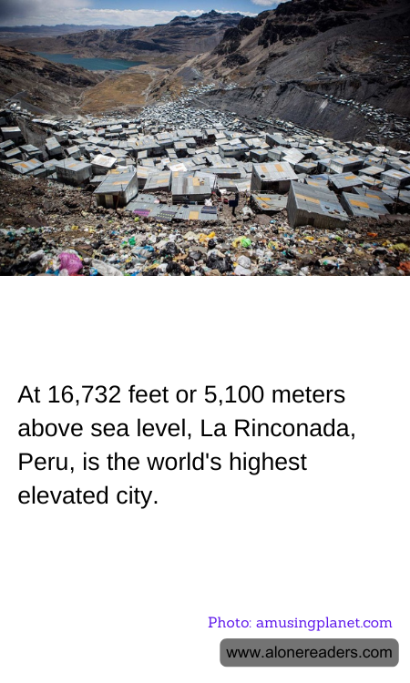 General Knowledge Learning Cards