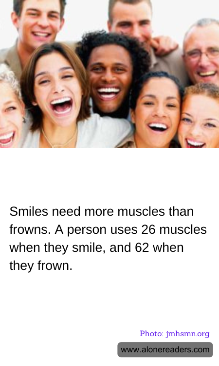 General Knowledge Learning Cards